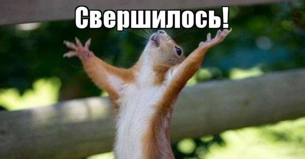 image12.png